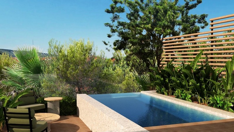 Visualizzazione della piscina tra palme e parete in legno