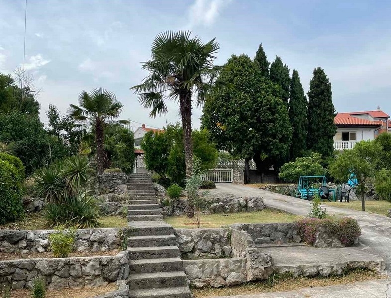 Giardino con palme e scala in pietra verso il terreno