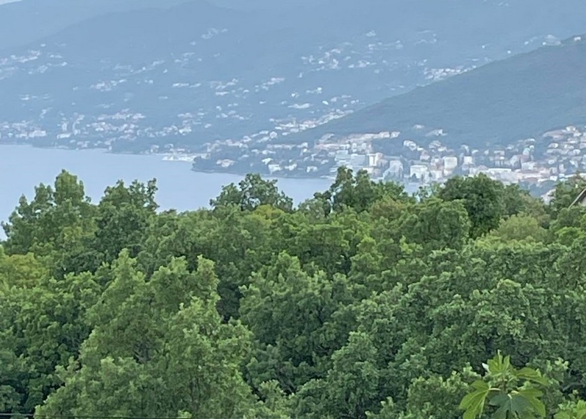 Vista sulle cime degli alberi, sulla baia e sul paese di fronte