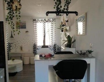 Cucina moderna con piante pendenti in appartamento a Rovinj