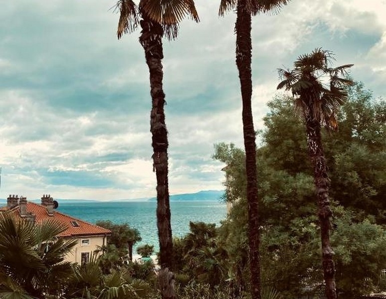 Vista tra le palme sul mare