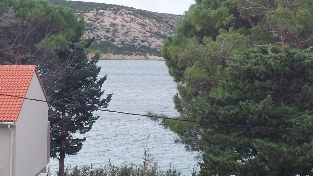 Vista tra i pini sulla baia e sul pendio carsico