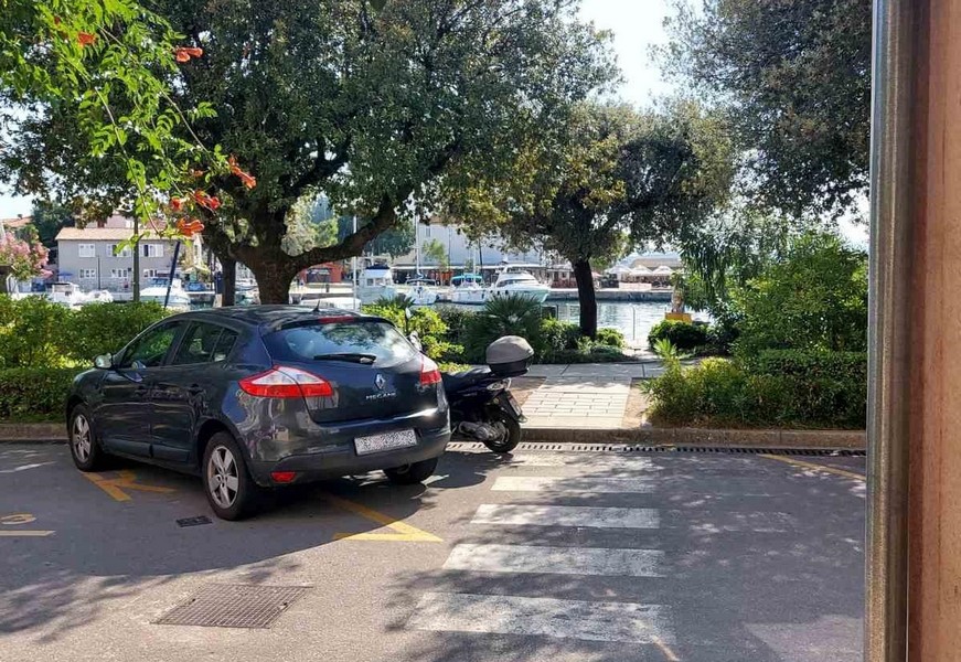 Parcheggio sotto gli alberi con barche nel porto sullo sfondo
