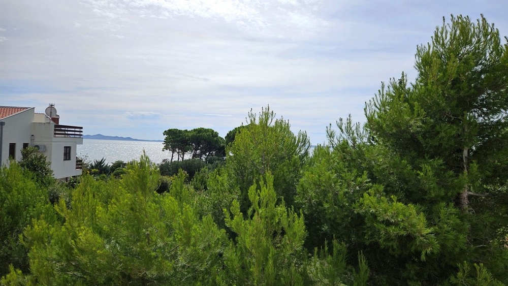 Vista sul mare dietro alberi verdi e fitti, con una casa bianca e l'orizzonte sullo sfondo.
