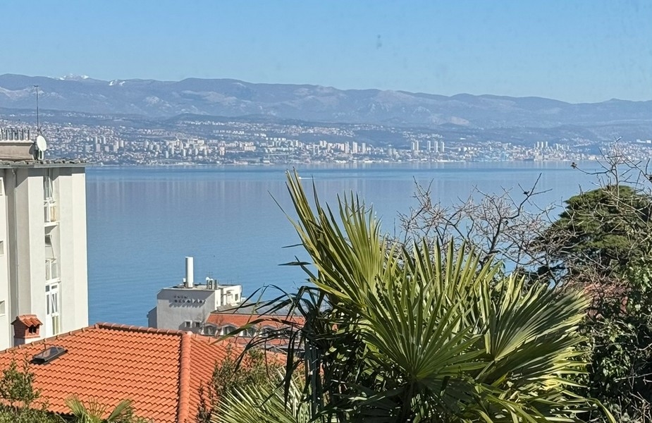 Fronde di palma in primo piano e vista sulla baia fino alla città