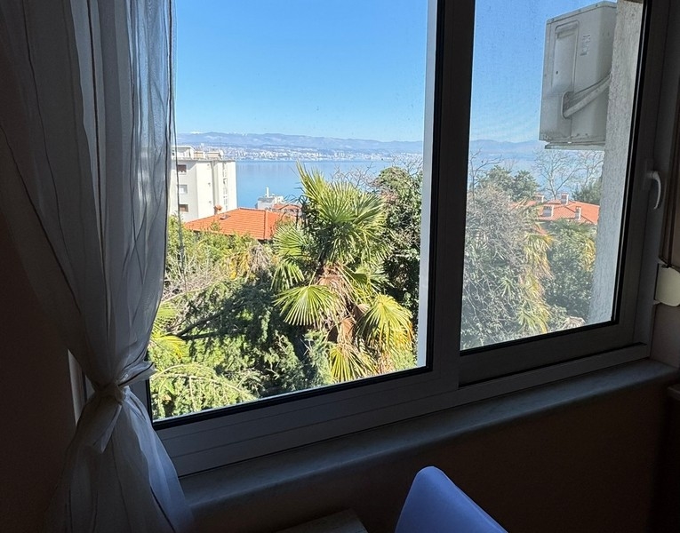 Vista dalla finestra sul mare con palme in primo piano