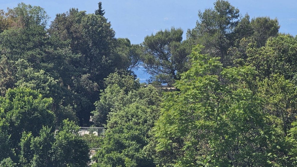 Vista dal balcone fino al mare.