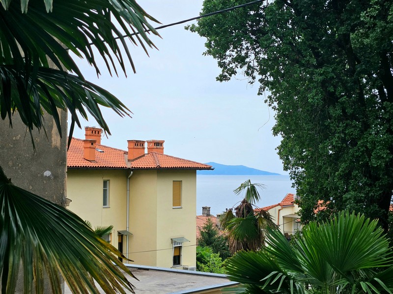 Vista tra le fronde di palma su una casa gialla e sul mare