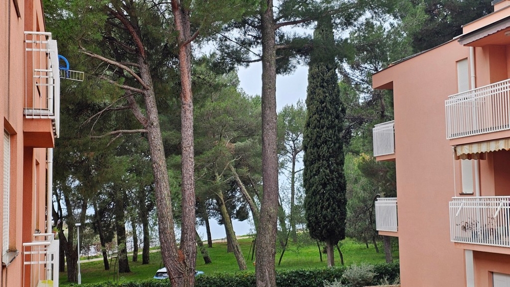 Appartamento sul mare in vendita in Istria, Novigrad.