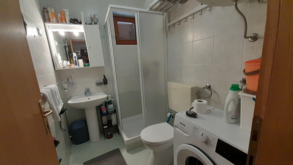Bagno con doccia, lavatrice e WC