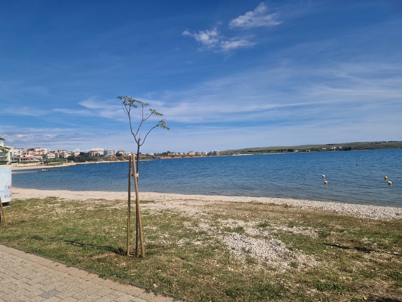 Lungomare e spiaggia a Povljana