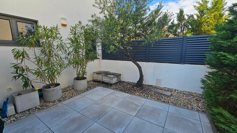 Area giardino piantumata con terrazza e ulivo