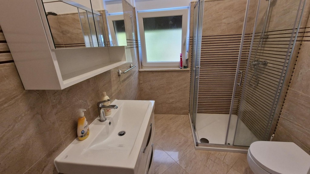 Bagno con lavabo e doccia dell'appartamento a Njivice