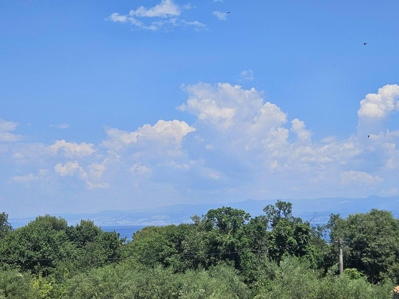 Vista mare dal balcone sopra gli alberi fino alla terraferma