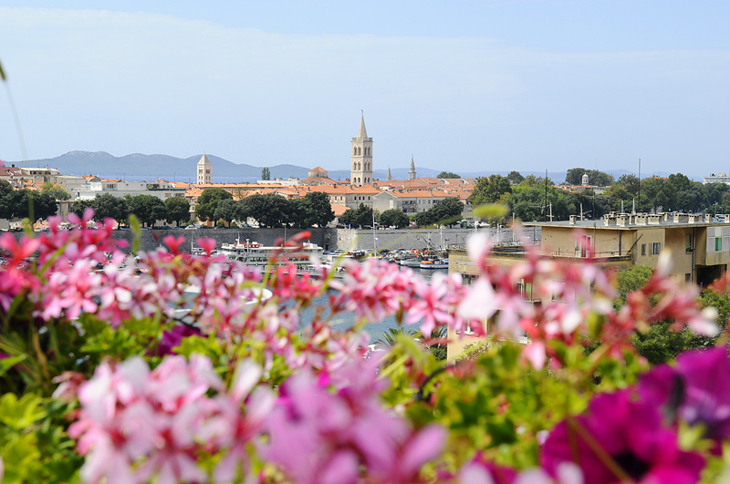 Immobili di lusso in Croazia, Dalmazia, in vendita a Zadar.