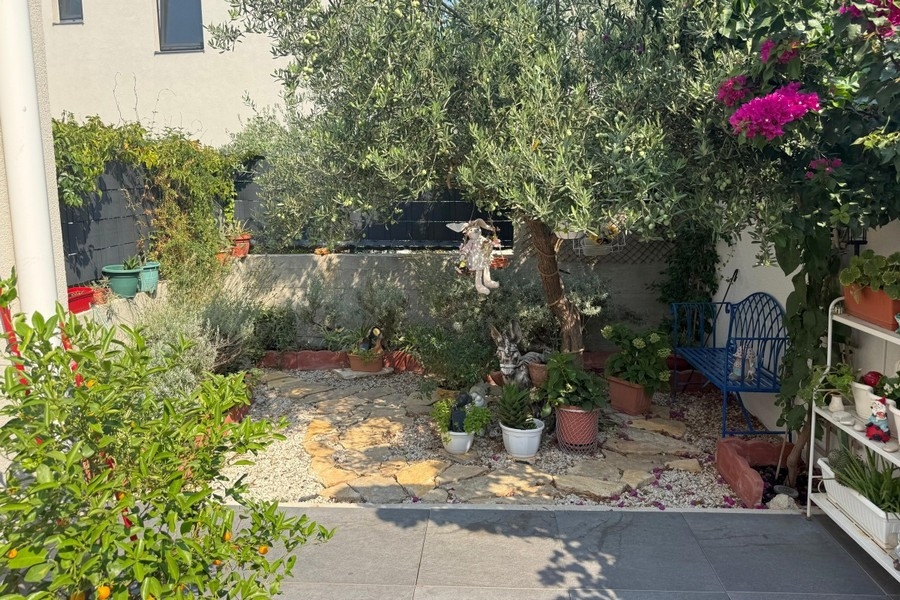 Giardino con vecchio ulivo e fiori