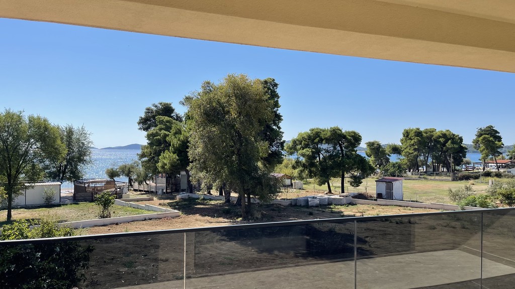 Vista mare dalla terrazza sopra le chiome degli alberi