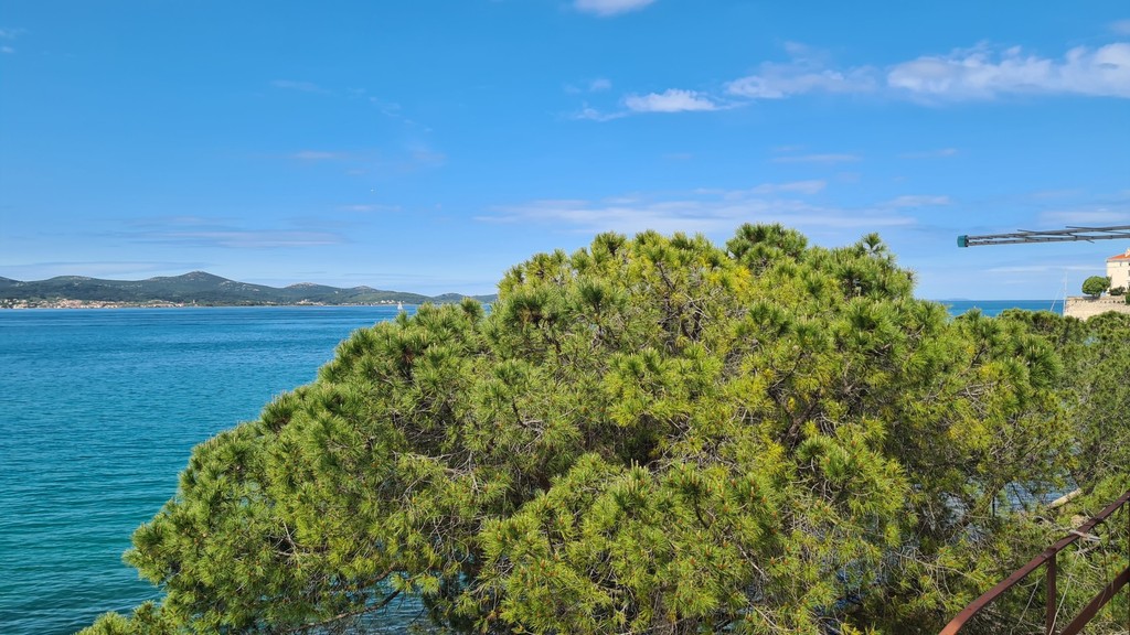 Vista sul mare tra i pini dalla finestra dell'appartamento