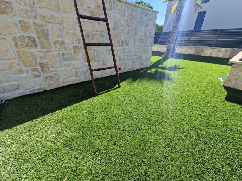 Giardino con prato sintetico e palma