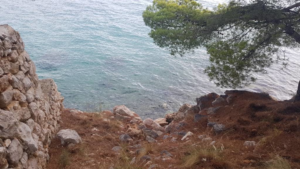 Riva sassosa con pini sul mare vicino a Starigrad Paklenica