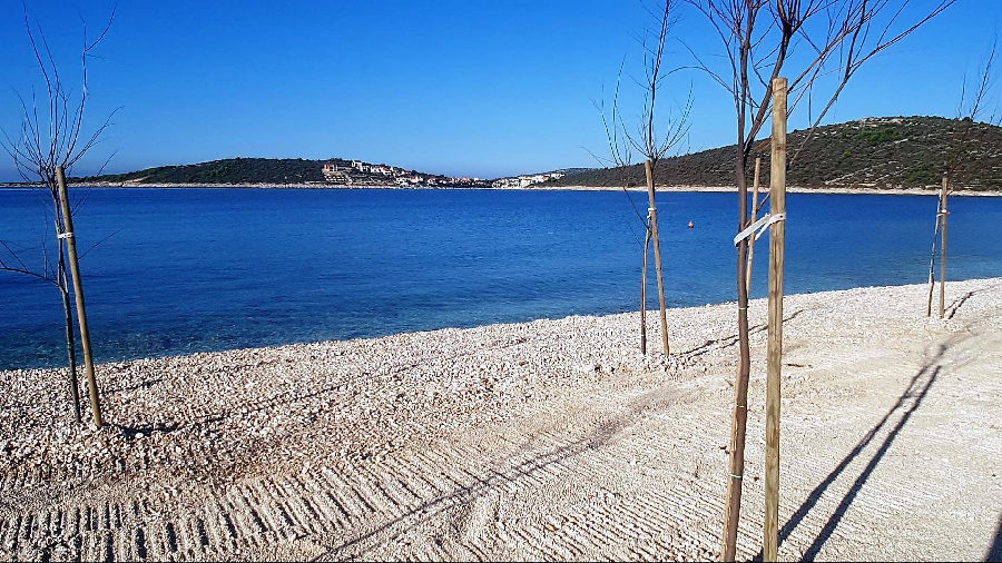Giovani alberi sulla spiaggia di ghiaia con vista sulla baia