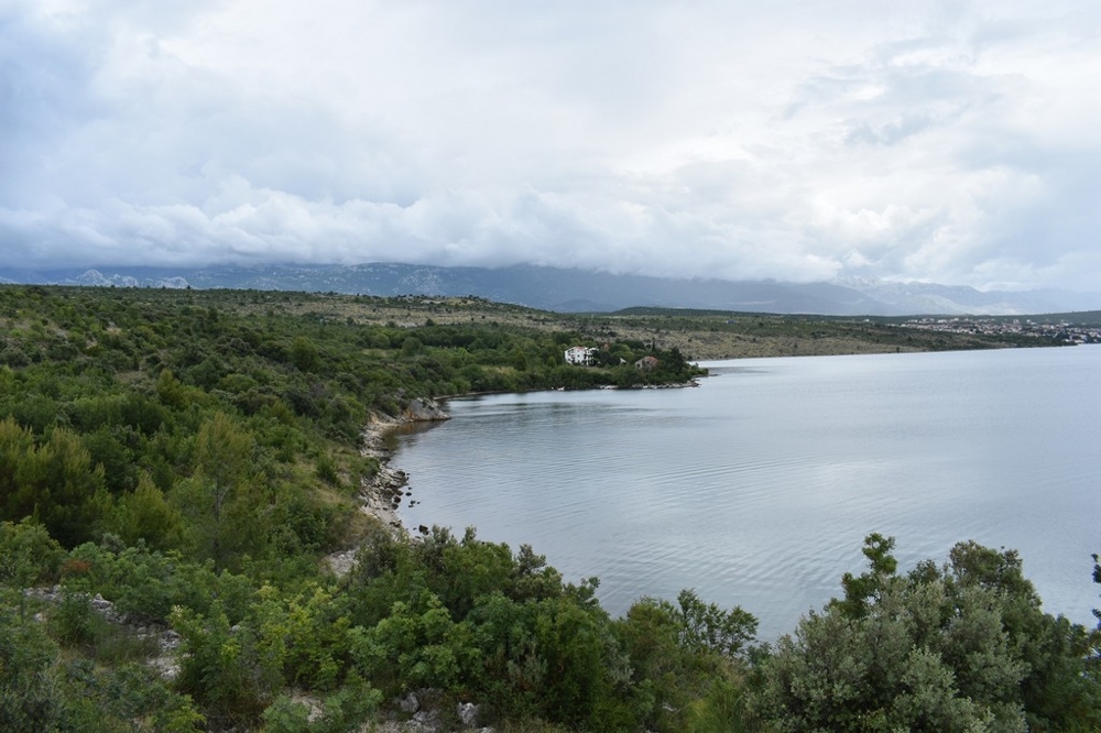 Riva con vegetazione sulla baia sotto nuvole basse