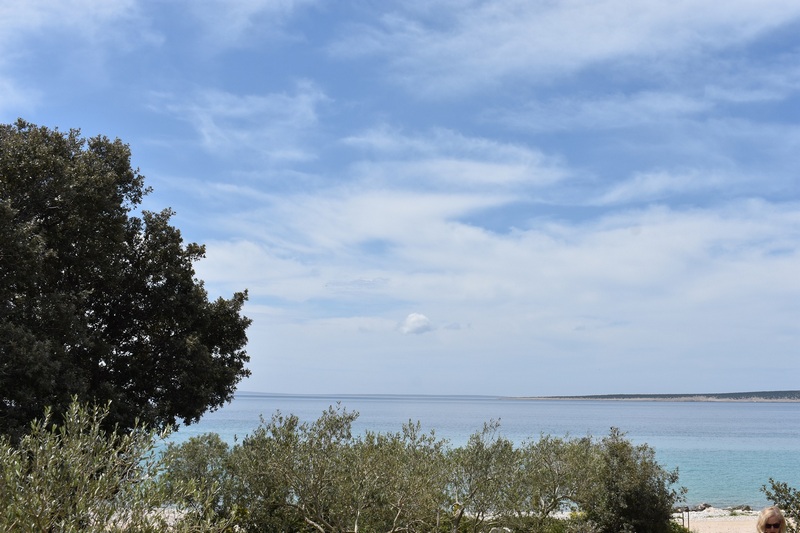 Ulivi sulla riva con vista sulla bassa penisola