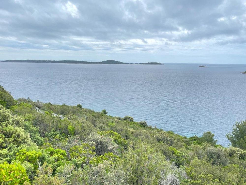 Macchia sul pendio con vista su isole e mare aperto