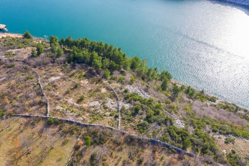 Veduta aerea della fascia costiera con pini e acqua turchese