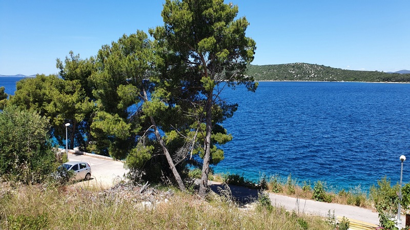 Pino sulla riva con parcheggio e vista sull'isola