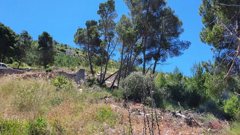 Vista sul terreno G393 in pendenza.