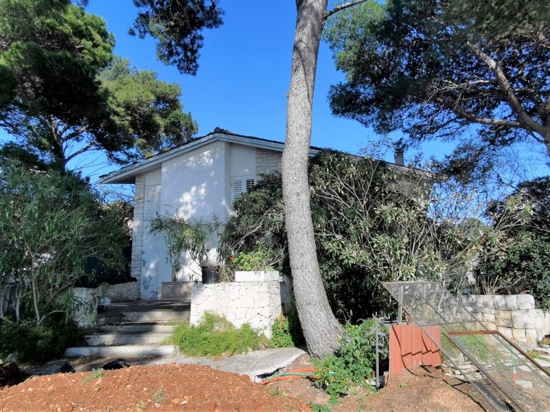 Terreno con vegetazione, pini e vecchio edificio