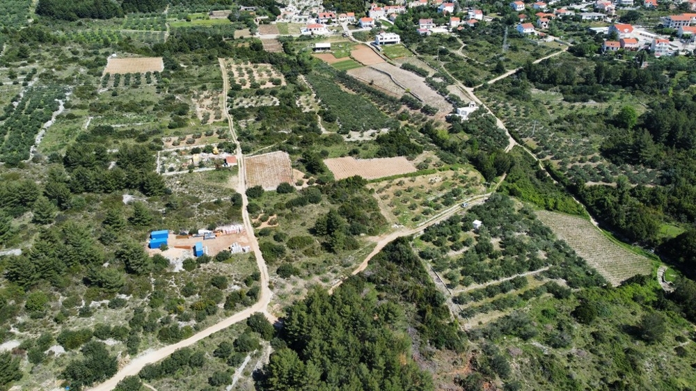 Campi e uliveti sul pendio visti dall'alto