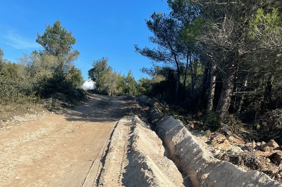 Strada sterrata attraverso la pineta con fosso appena scavato