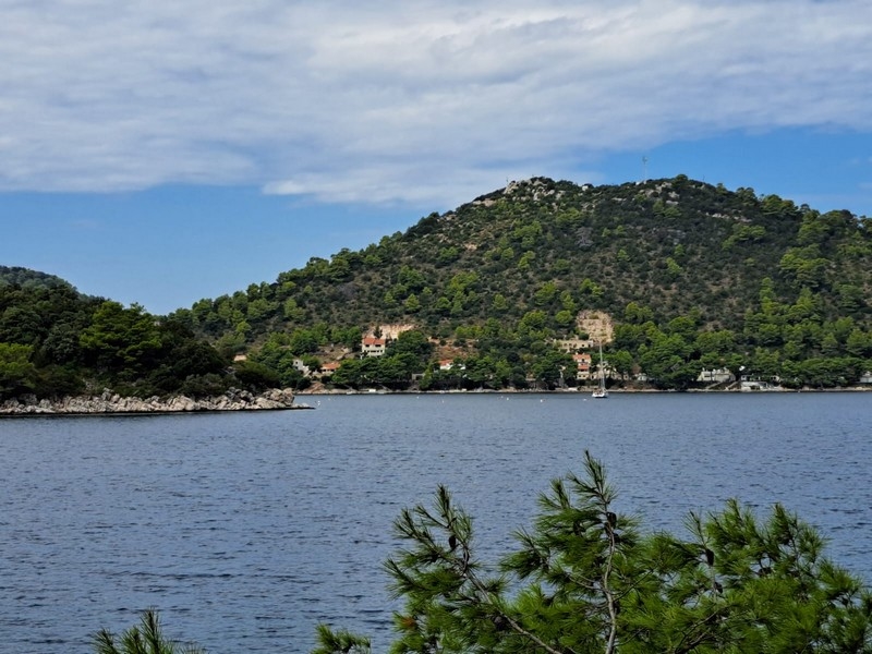 Baia boscosa con singole case sull'isola di Lastovo