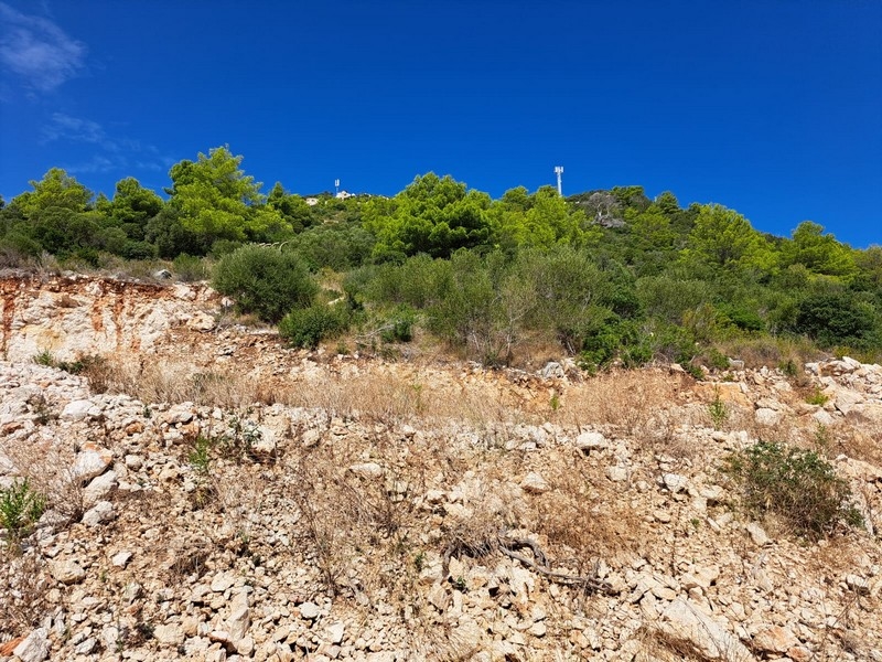 Terreno roccioso con macchia mediterranea sotto un cielo azzurro