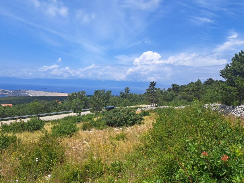 Prato lungo la strada con ponte e mare sullo sfondo