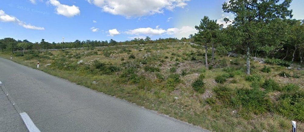 Terreno edificabile ripreso dalla strada.