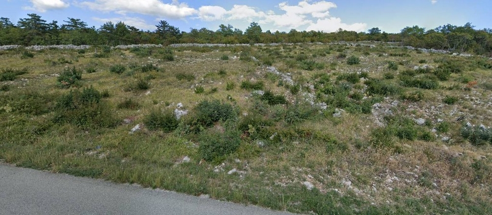 Terreno a prato pietroso lungo la strada con pini sullo sfondo