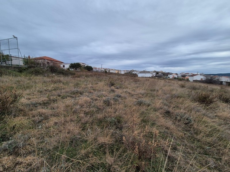 Grande terreno in vendita a buon prezzo in Croazia.