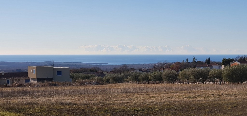 Ulivi e campi con vista sulla costa