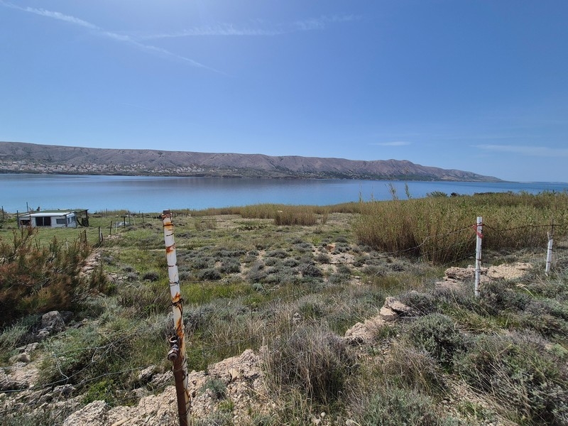 Terreno edificabile turistico in Croazia sull'isola di Pag in vendita.