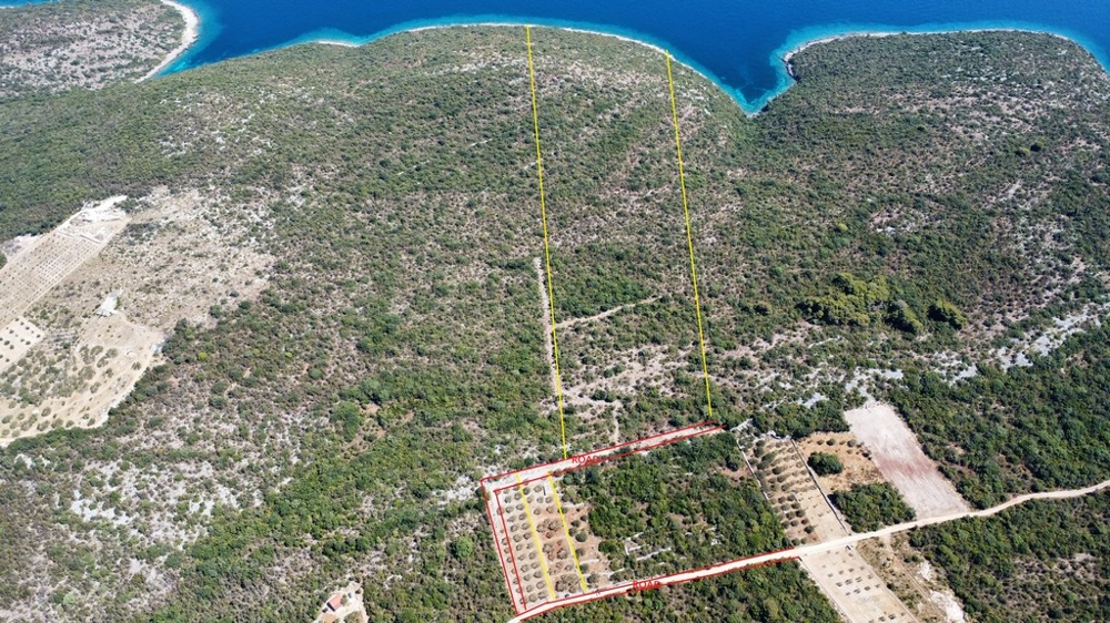Confini del terreno in giallo e rosso sulla veduta aerea