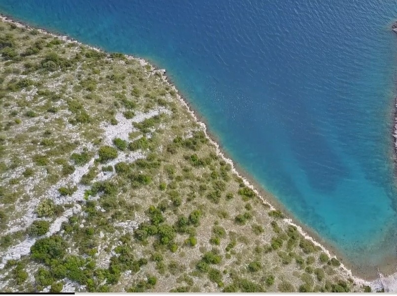 Linea di costa ricoperta di vegetazione vista dall'alto con acqua bassa turchese