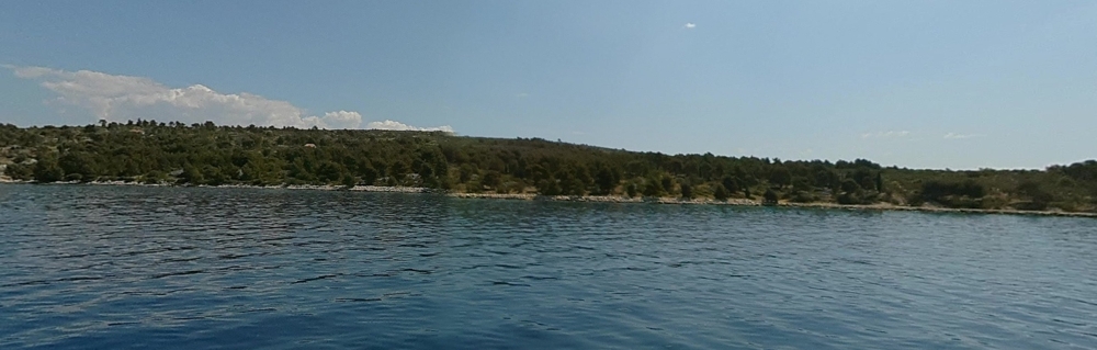 Vista dall'acqua sulla fascia di riva con vegetazione