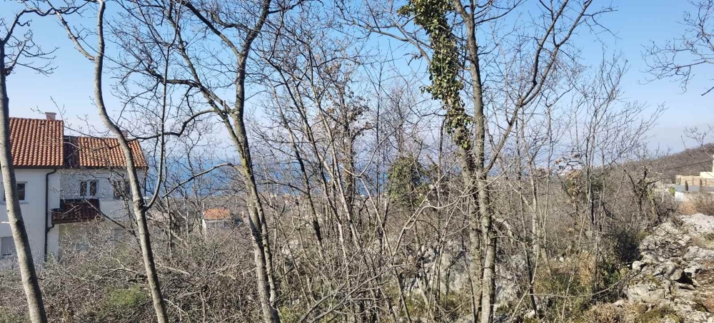 Vista attraverso alberi spogli su una casa e sul mare