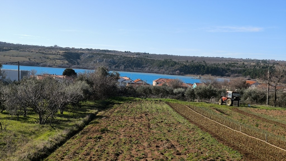 Campo coltivato con trattore e vista sulla baia