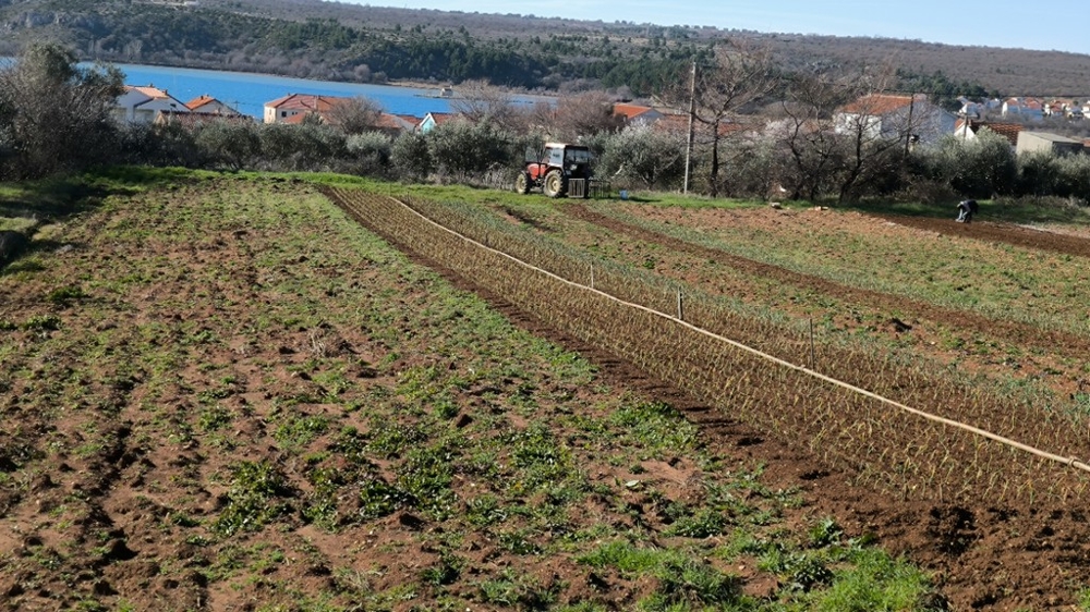 Solchi del campo con trattore e paese sullo sfondo
