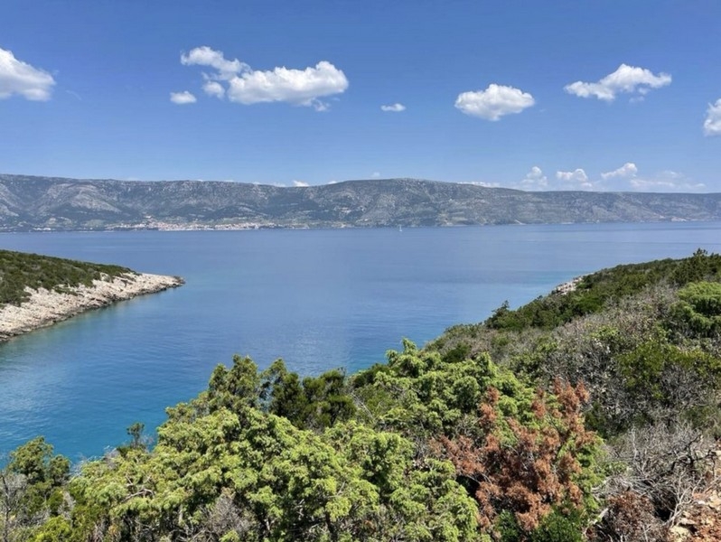 Terreno agricolo in vendita a Hvar.