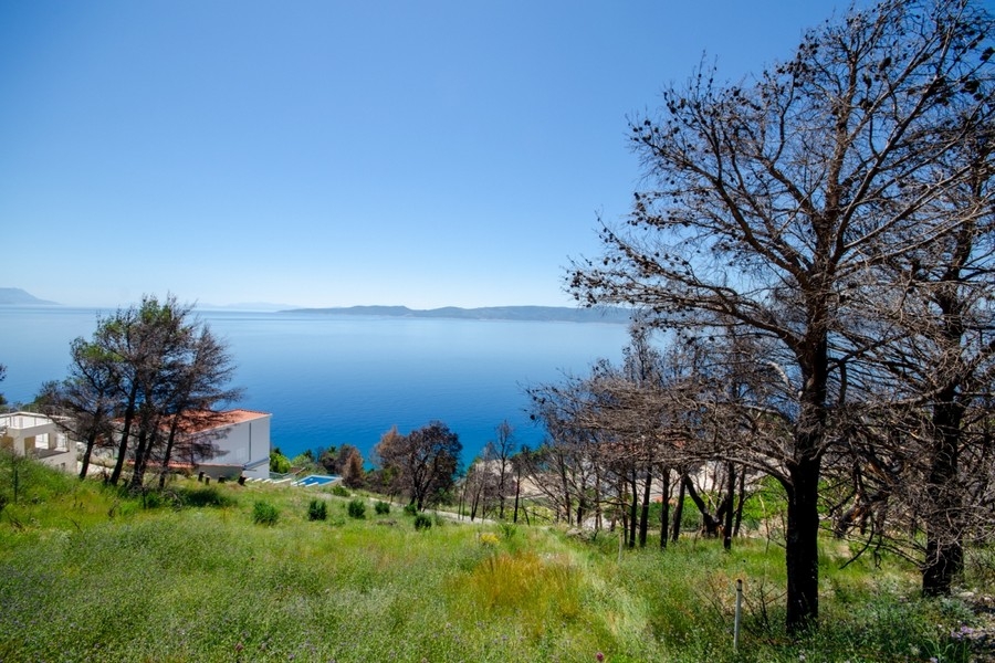 Terreno edificabile con vista mare vicino a Omis